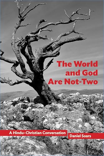The World and God Are Not-Two: A Hindu–Christian Conversation (Comparative Theology: Thinking Across Traditions Book 10)