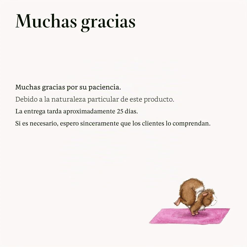 Rueda de ejercicio silenciosa para Hamster con Gerbille Chinchilla ardilla Lapin Rats Chinchillas Gerbilles Souris, enorme talla, 32 cm de diámetro, animales medianos y grandes