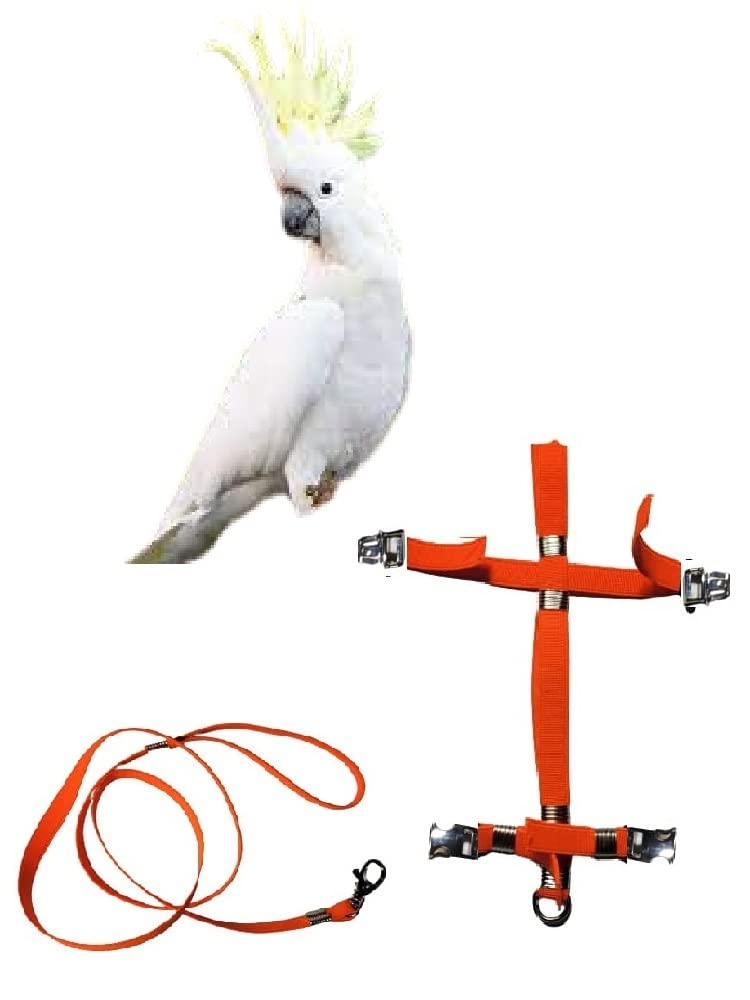 Arnés para cacatúa ajustable con enganches desmontables de acero y almohada