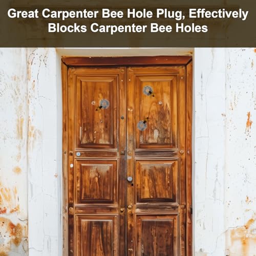 Image of 50pcs Carpenter Bee Hole Plugs, Stainless Steel Tapered Carpenter Bee Hole Cork Fix Covers with Metal Install Tool Repair Kit Carpenter Bee Filler for Porches Fences Wood Structures