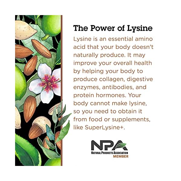 Quantum-Health-Super-Lysine-Advanced-Formula-Lysine-Immune-Support-with-Vitamin-C-Echinacea-Licorice-Propolis-Odorless-Garlic-180-Tablets-Packaging-may-vary Quantum Health SuperLysine+ Advanced Formula Immune Support Supplement Lysine 1500 mg, Vitamin C Echinacea Licorice Bee Propolis & Odorless Garlic Daily Wellness Blend for Women & Men - 180 Tablets