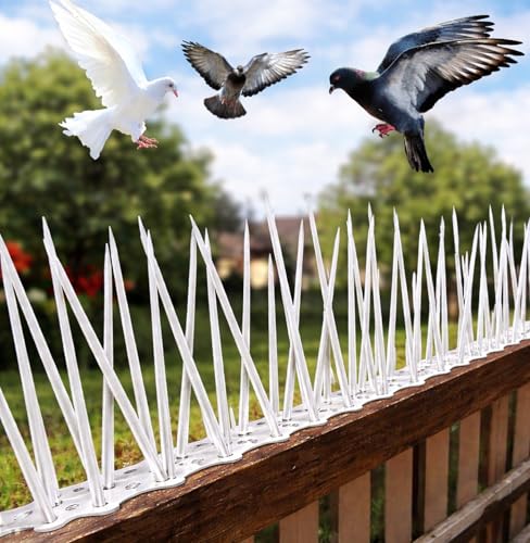 Image of XONOV Bird and Pigeon Spikes, Pigeon Control Spikes Anti Bird Plastic Spikes for AC Balcony Railing Window Home Protection from Pigeon Dog Monkey Crow Kabootar Transparent (Pack of 80 (13 Inch))
