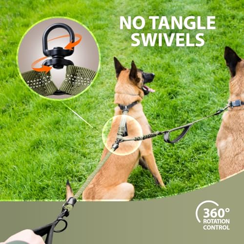 Laisse double pour 2 chiens pour ne plus subir les tractions