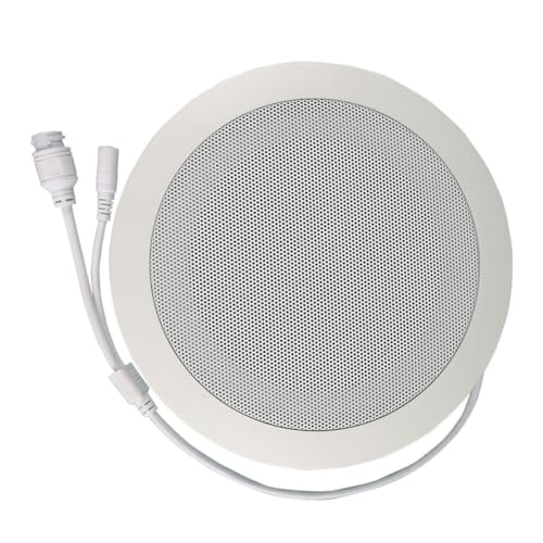 Ujjdwiurgh Système d'adresse publique IP réseau 10 W Audio ABS Haut-parleur de plafond PoE ou DC12 V