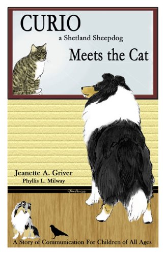 Curio a Shetland Sheepdog Meets the Cat