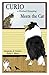 Curio a Shetland Sheepdog Meets the Cat