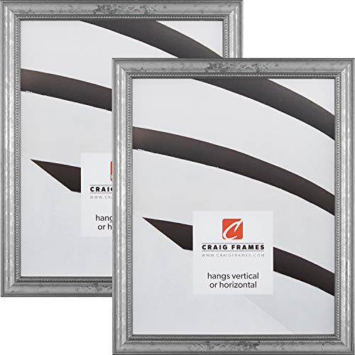 Craig Frames 314SI 20 x 30 Inch Picture Frame, Ornate Silver, Set of 2