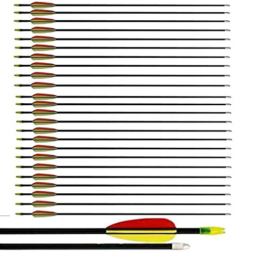 Flèches de tir à l'arc en fibre de verre 26" pour vos activités extérieures en famille