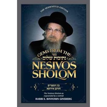 Hardcover Gems from the Nesivos Sholom-Three Weeks and the Holocaust Book