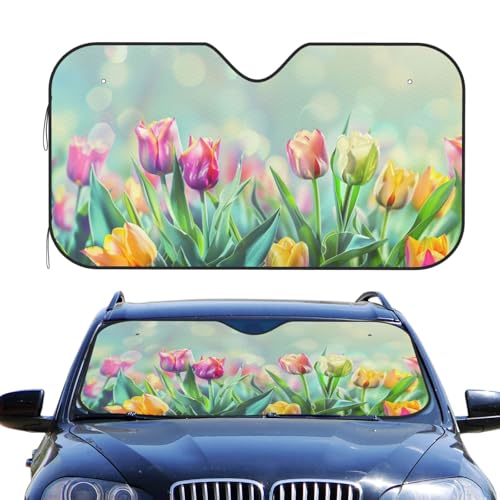 Pare-brise pliable pare-soleil voiture et isolation thermique pour camionnette S