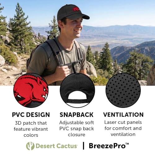 Gorra snapback Desert Cactus Arkansas con ajuste miniatura 3