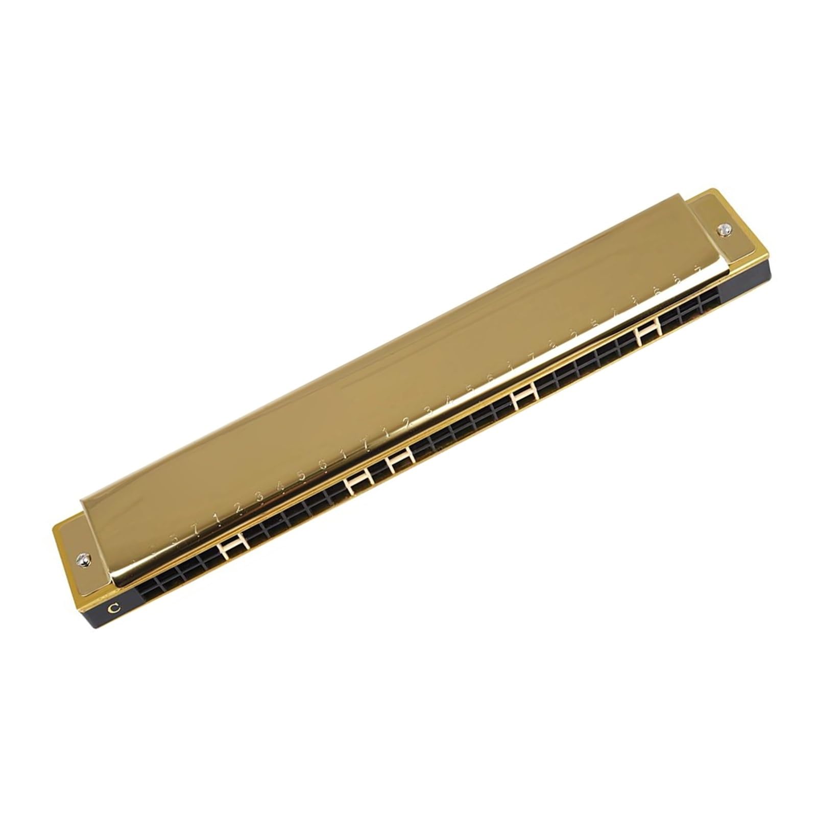 Armonica Blues Armonica A 28 Fori C Professionale | Armonica a 28 fori Polifonia C Principianti Strumenti a fiato professionali(Gold)
