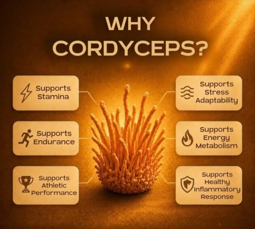 Image of Nuvedo Cordyceps Mushroom Liquid Extract | 50 mL | 1:5 Dual Extract