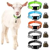 GINDOOR 5 Pack Reflective Goat Collars with Bells, Cow Horse Sheep Grazing Copper Bells and Adjustable Nylon Collar Set Pet Anti-Lost Loud Bronze Bell for Small Farm Animal Goat Sheep Cow Accessories