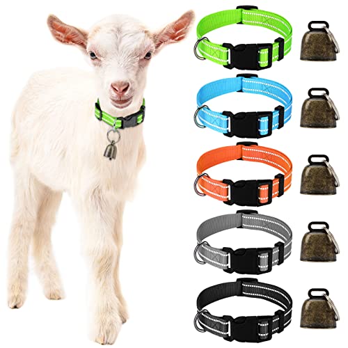 GINDOOR 5 Pack Reflective Goat Collars with Bells, Cow Horse Sheep Grazing Copper Bells and Adjustable Nylon Collar Set Pet Anti-Lost Loud Bronze Bell for Small Farm Animal Goat Sheep Cow Accessories