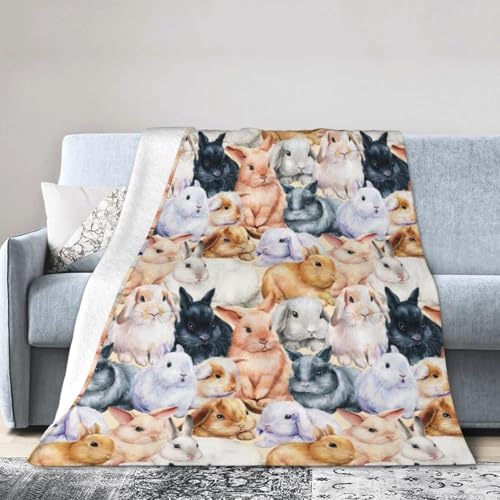 uPbg e ʊG [΍ tl ӂӂ _炩G y \ ÓdCh~ lGKp