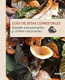 Guía de setas comestibles: Dónde encontrarlas y cómo coci