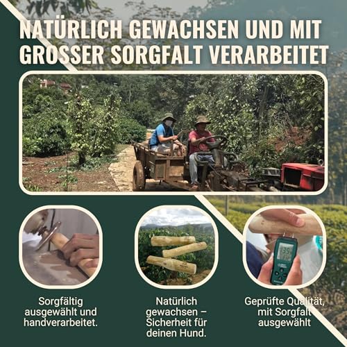 DENIPET® Kaffeeholz für Hunde & Welpen - Kauholz für Hunde, nachhaltiges Kauspielzeug Hund, robuster Kauknochen zur Zahnpflege, Hundespielzeug und Beschäftigung, Ideal als Welpenspielzeug, Größe M