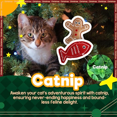 ALL FOR PAWS Catnip Cat Toys, Cat Christmas Toy Gift Set, Cat Toys For Indoor Cats Interactive Pet Cat Assorted Toys with Fish Gingerbread Man — photo 4