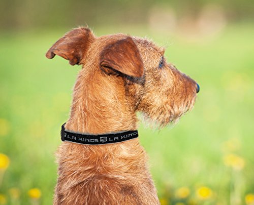 Pets First NHL Los Angeles Kings Collar for Dogs & Cats, Medium. - Adjustable, Cute & Stylish! The Ultimate Hockey Fan Collar!