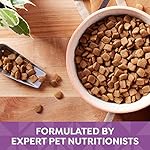 Nature's Recipe Grain Free Dry Dog Food, Lamb, Sweet Potato & Pumpkin Recipe, 4 Pound Bag, Easy to Digeste - Image 5