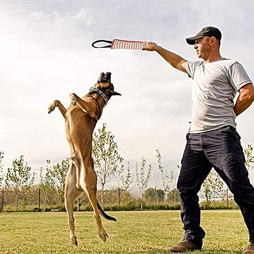 Zerrspielzeug Beißwurst für Hunde - Jute Beißwurst Hund Training mit 2 Griff, Kauspielzeug Robust und Unzerstörbar, Hunde Training Zubehör