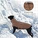Hjumarayan Hundemantel Französische Bulldogge, Wattierend Jacke Warme Mantel Hund Geschirröffnung, Wintermantel Gefüttert für Französische Bulldogge, Mops, Westie (Braun M)