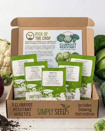 Simply Seed Clubroot Resistant Seed Collection – 5 Brassica Varieties for Stronger, Healthier Crops. Includes Cabbage, Cauliflower & Brussels Sprout Seeds – Reliable Kitchen Garden Set