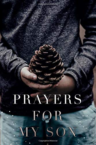 Prayers For My Son: A Prayer Journal