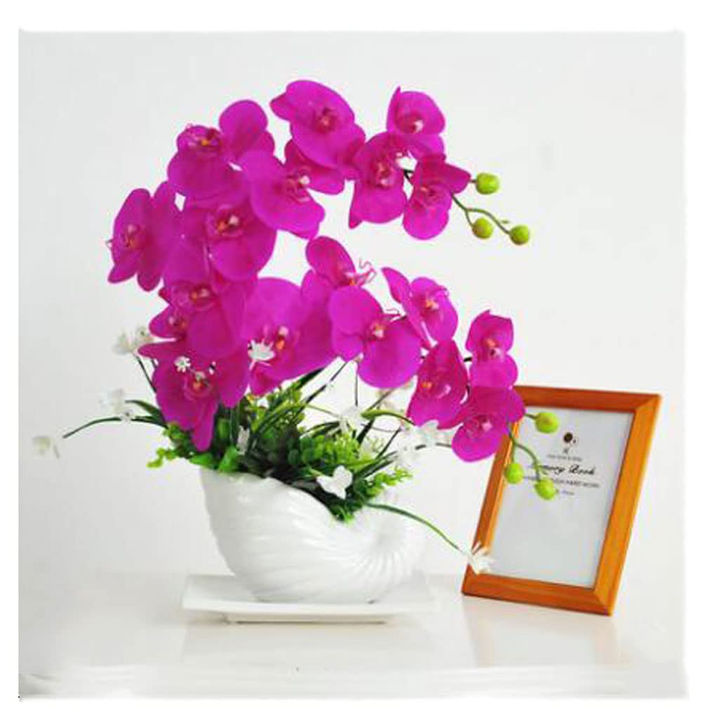 Fausses fleurs séchées pour raviver un espace de vie sans lumière