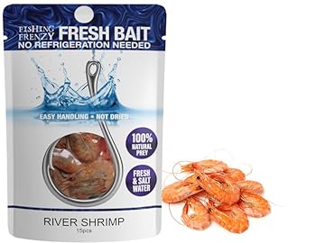 best bait for river fishing