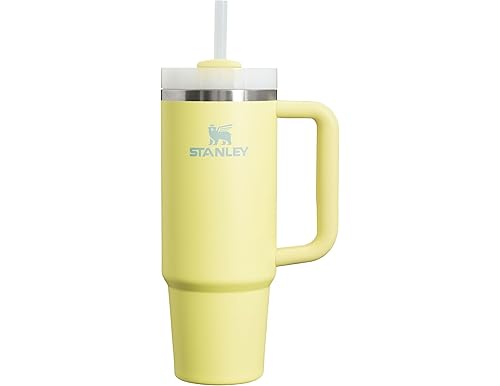 Best Tumbler for the Stanley Cup Girl: Quenches Thirst with Style