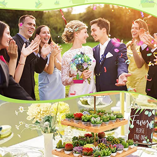 Aixiang 72Pcs Cactus Candles Succulent Candles, Wedding Party Favors For Guests, Bridal Shower Candles Favors #TOP1