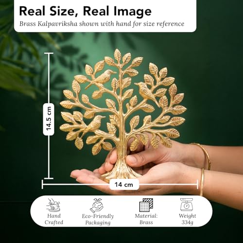 Image of Ekhasa 100% Pure Brass Kalpavriksha Tree of Life Showpiece with Gift Box | Vastu Decor Home Living Room Pooja Space Office Desk | Feng Shui Good Luck Religious Housewarming Griha Pravesh Gift