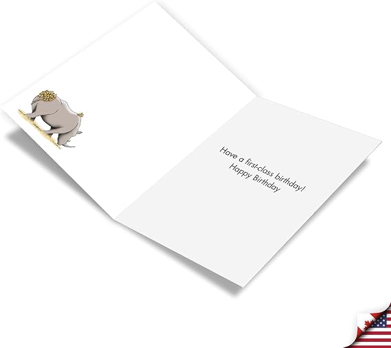 NobleWorks Funny Under Attack Birthday Card w/Envelope C3347BDG-UA