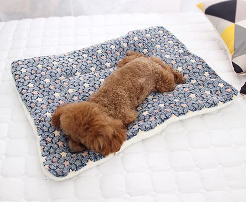 Taiyo Pluss Discovery® Pet Blanket, Size: (89X68cm) (LXH), Super Soft Fleece Printed Pet Heat Protector Blanket, Washable & Reusable, Suitable for Adult Dogs & Cats (Color May Vary) (B09RPRCNMD) Amazon Price History, Amazon Price Tracker
