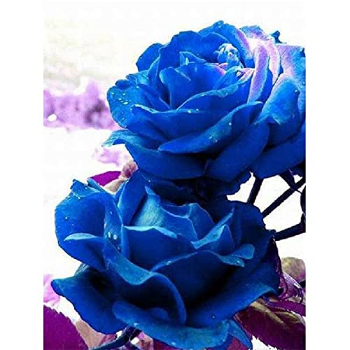 Broderie craft pour cadeau créatif kit diamant de point de croix floral