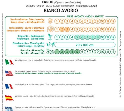 Miniatura 2 de Semillas de Salerno Cardoon Cardo Bianco Avorio, 0.11 oz, fabricadas en Italia, Italia sin OMG
