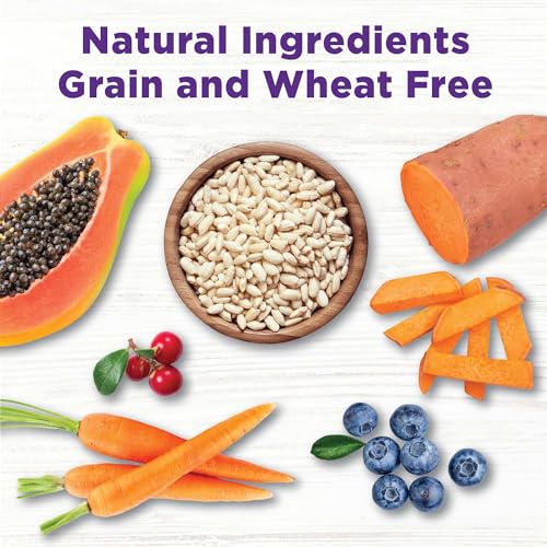 Wellness CORE Bowl Boosters, Practical Meal Topper for Immunity, Plant Based mostly, 4 Ounce Bag Wellness CORE Bowl Boosters, Practical Meal Topper for Immunity, Plant Based mostly, 4 Ounce Bag
