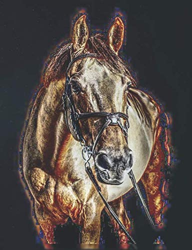 Notebook for Equestrians: Sport Horse Aglow in Space Dot Grid Notepad for Equestrians (Equestrian Sports Notebooks for Spring 2019)