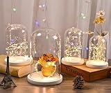 C.X.Y. B0DFZ3LFYL lato 4