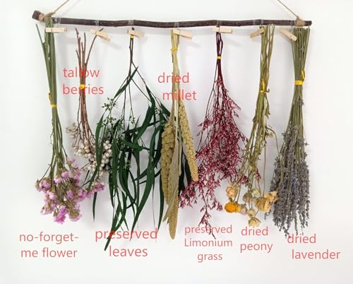 Flores Secas Colgantes de Glicina Blanqueada con Lavanda miniatura 7