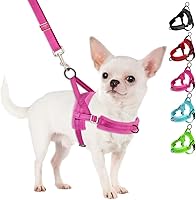 SlowTon No Pull Small Dog Harness & Leash Set - Adjustable Soft Vest, Reflective, Anti-Twist for Puppies & Small Dogs (Fuchsia, XXS)