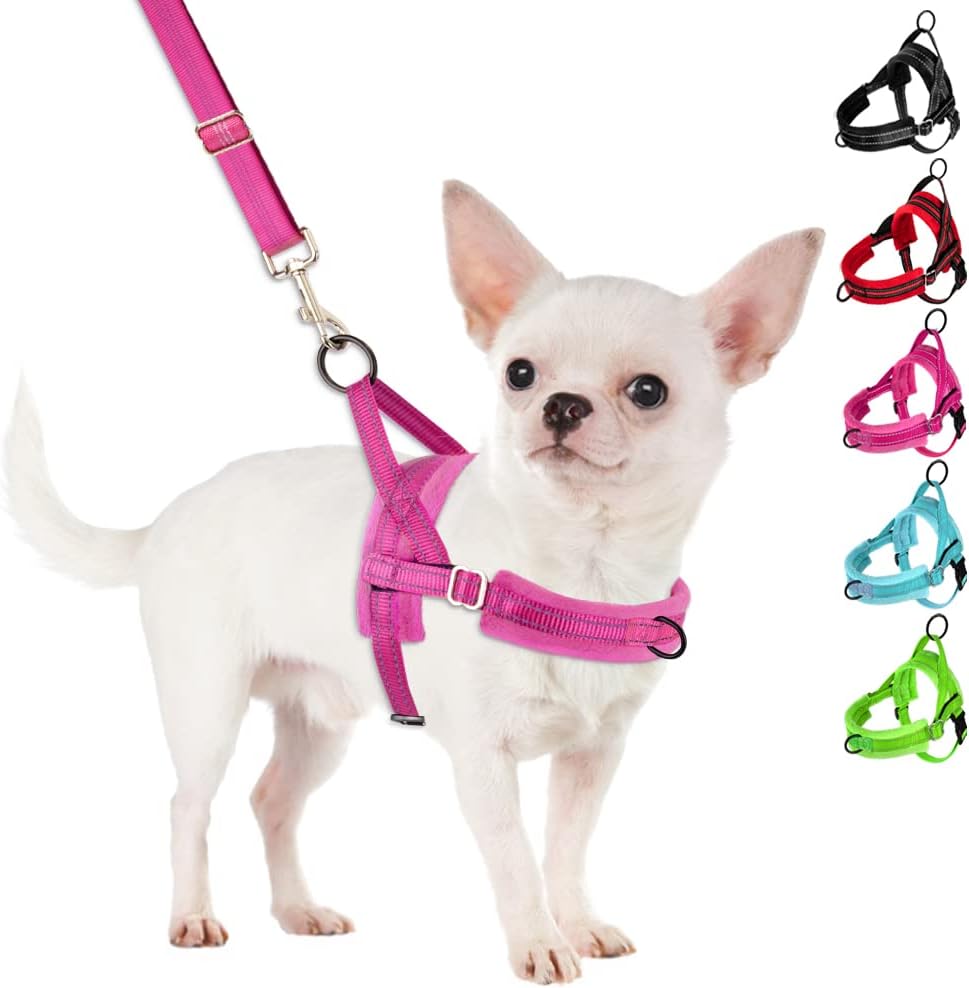 SlowTon No Pull Small Dog Harness and Leash Set, Puppy Soft Vest Harness Neck & Chest Adjustable, Reflective Lightweight Harness & Anti-Twist Pet Lead Combo for Small Medium Dogs (Fuchsia, S)