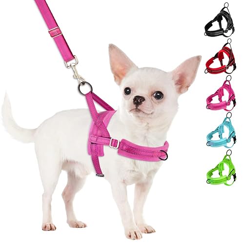 SlowTon No Pull Small Dog Harness and Leash Set, Puppy