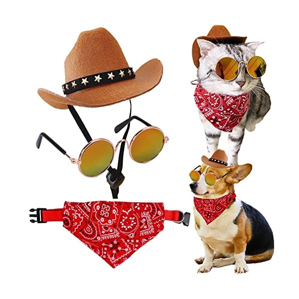 Gallarato cowboy costume for pet cowboy bandanna cowboy hat for pet cowgirl bandanna sunglasses hiphop costume for pet hippie costume