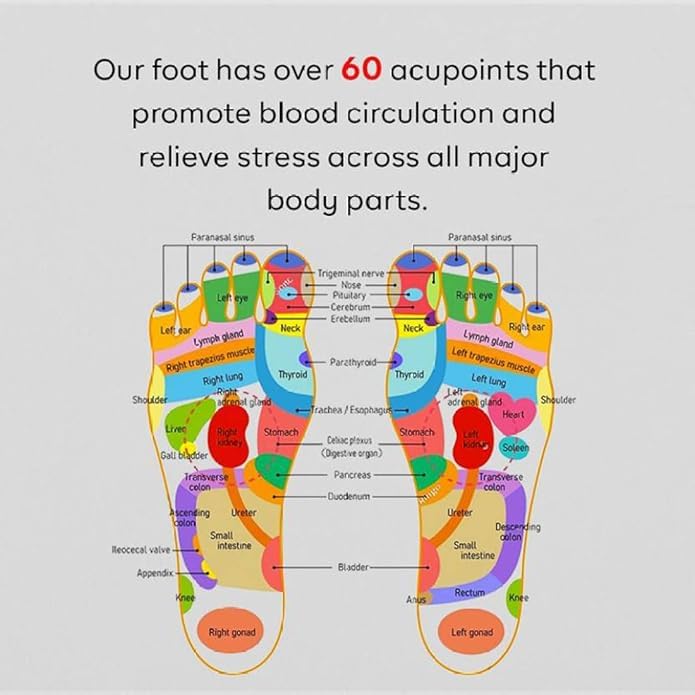 Image of Acuepressure Slipper | Orthopaedic slippers For Men & Boys| Improves Blood Circulation