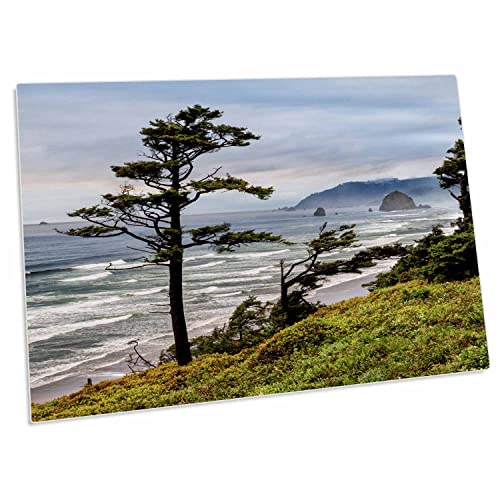 3dRose Oregon Cannon Beach Desk Pad 23x16 pulgadas miniatura 1