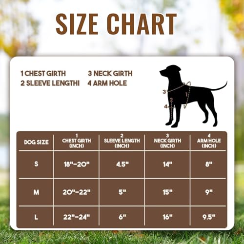 Dog-Basketball-Costume-Dog-Basketball-Costume-with-Ball-Fun-pet-Costumes-Dog-Basketball-Player-Costume-Basketball-Costume-for-Dogs-Costumes-for-Dogs-Funny-Dress-Up-Sports