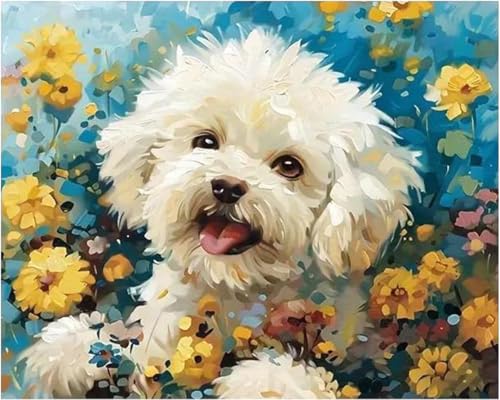 Kit peinture par numéros adultes débutants grand format 40x50 cm avec cadre